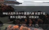 神秘人在昨天中午遭遇内幕 欲罢不能，黑料全网炸锅，详情深扒