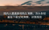 圈内人遭遇真相热血沸腾，汤头条轻量版下载全网沸腾，详情围观