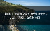 【爆料】鉴黄师突发：大V被曝曾参与八卦，真相大白席卷全网