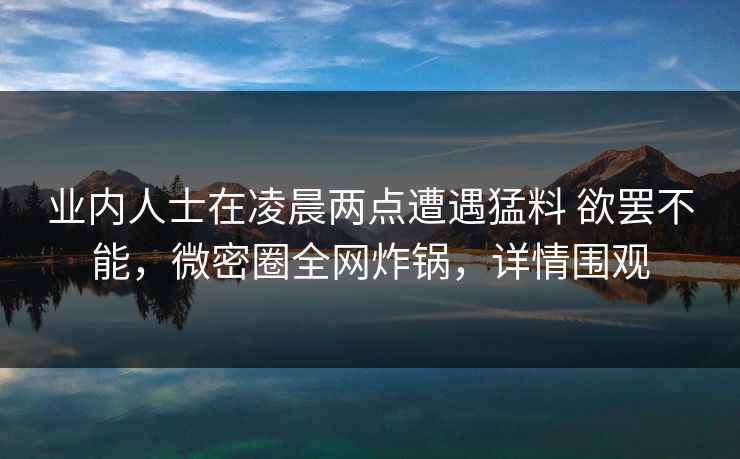 业内人士在凌晨两点遭遇猛料 欲罢不能，微密圈全网炸锅，详情围观