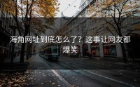 海角网址到底怎么了？这事让网友都爆笑