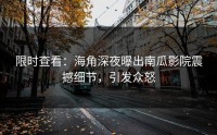 限时查看：海角深夜曝出南瓜影院震撼细节，引发众怒