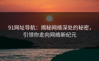 91网址导航：揭秘网络深处的秘密，引领你走向网络新纪元