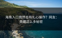 海角入口竟然也有扎心操作？网友：竟藏这么多秘密