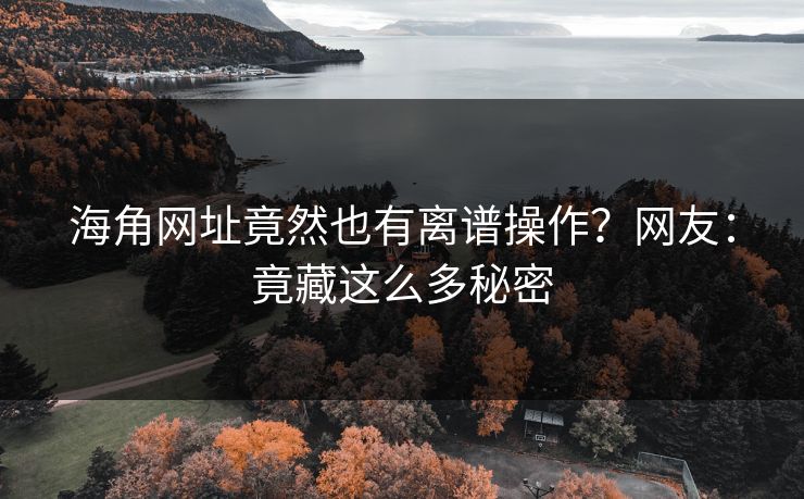 海角网址竟然也有离谱操作？网友：竟藏这么多秘密