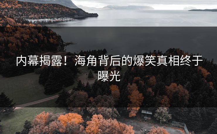 内幕揭露！海角背后的爆笑真相终于曝光