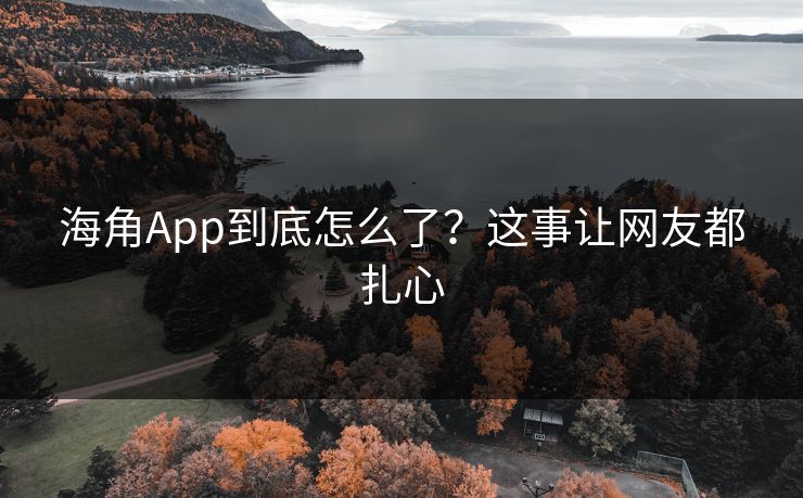 海角App到底怎么了？这事让网友都扎心