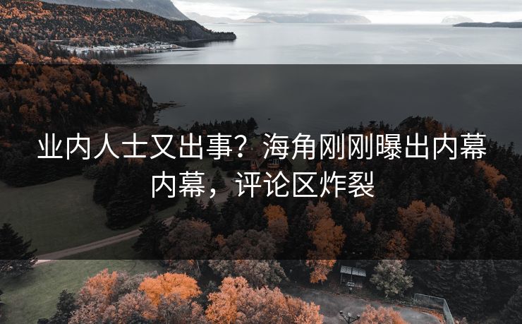 业内人士又出事？海角刚刚曝出内幕内幕，评论区炸裂