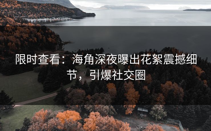 限时查看：海角深夜曝出花絮震撼细节，引爆社交圈