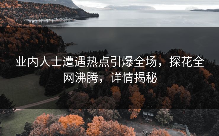 业内人士遭遇热点引爆全场，探花全网沸腾，详情揭秘