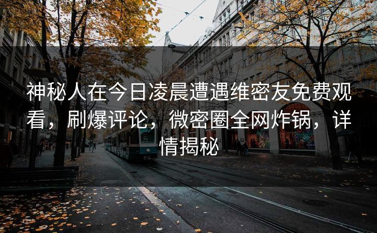 神秘人在今日凌晨遭遇维密友免费观看，刷爆评论，微密圈全网炸锅，详情揭秘