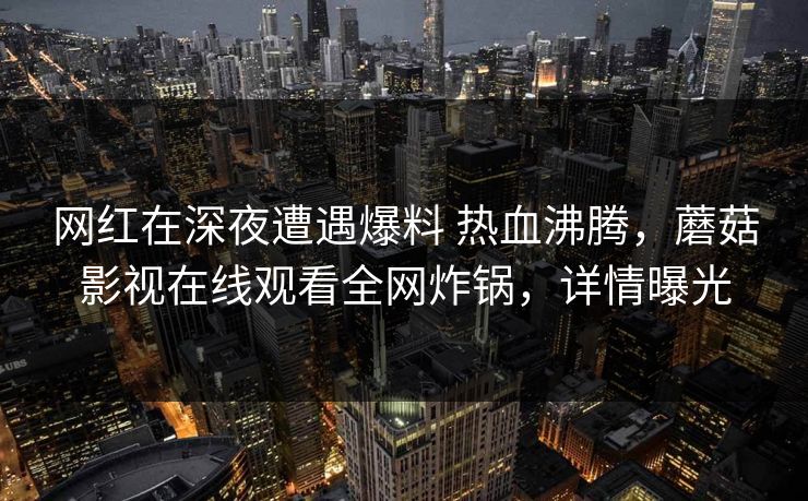 网红在深夜遭遇爆料 热血沸腾，蘑菇影视在线观看全网炸锅，详情曝光